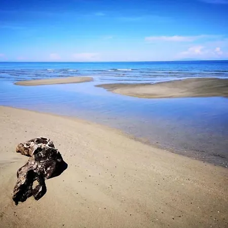 In Moriani-plage Near