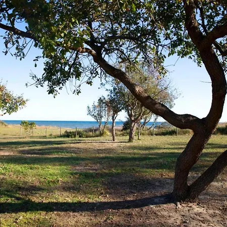 In Moriani-plage Near *