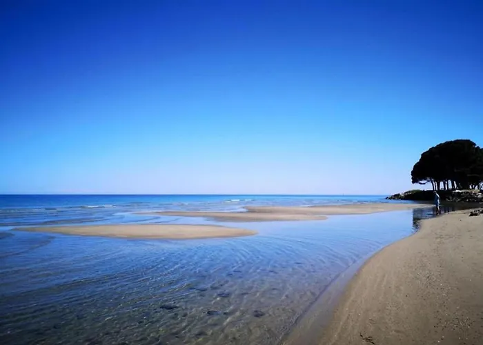 In Moriani-plage Near Dom wakacyjny San-Nicolao